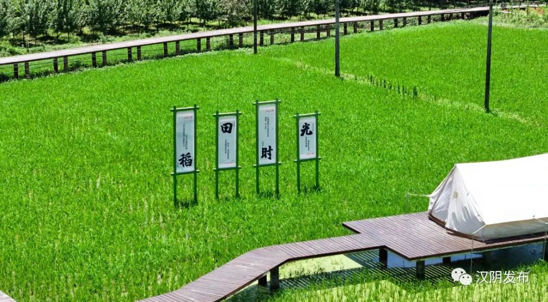 汉阴县双河口镇：国企带镇村 跑出乡村振兴“加速度”