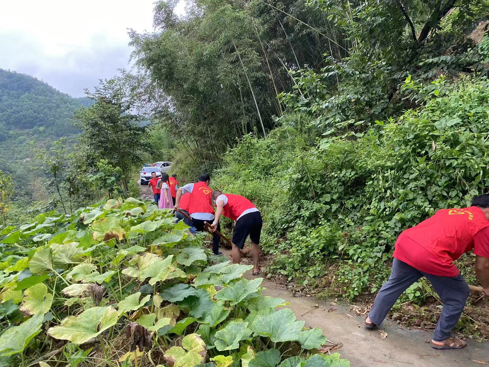 漩涡镇多措并举开展夏秋季爱国卫生运动   