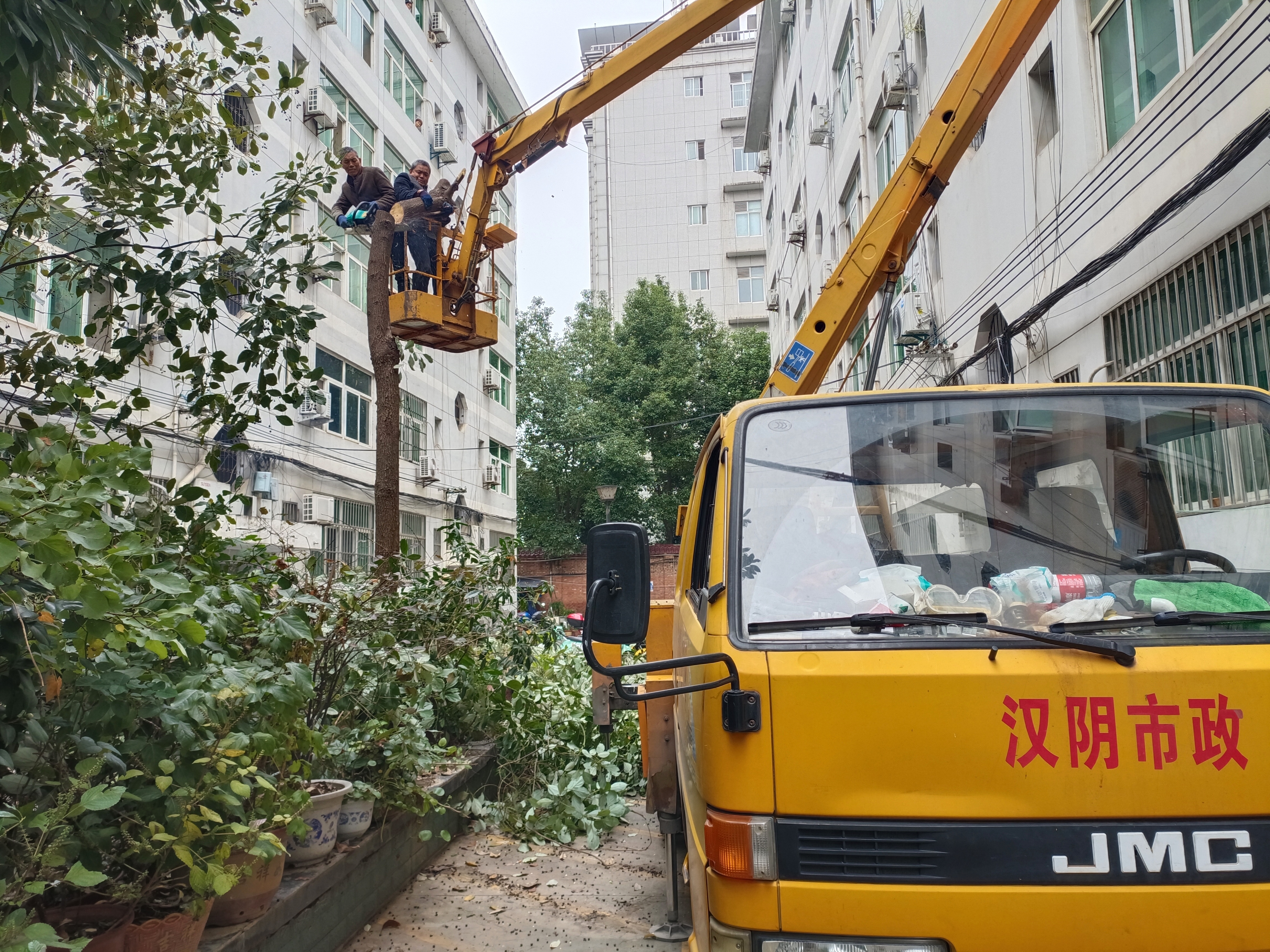 汉阴县城关镇长乐社区：修剪树枝除隐患 为民解忧办实事