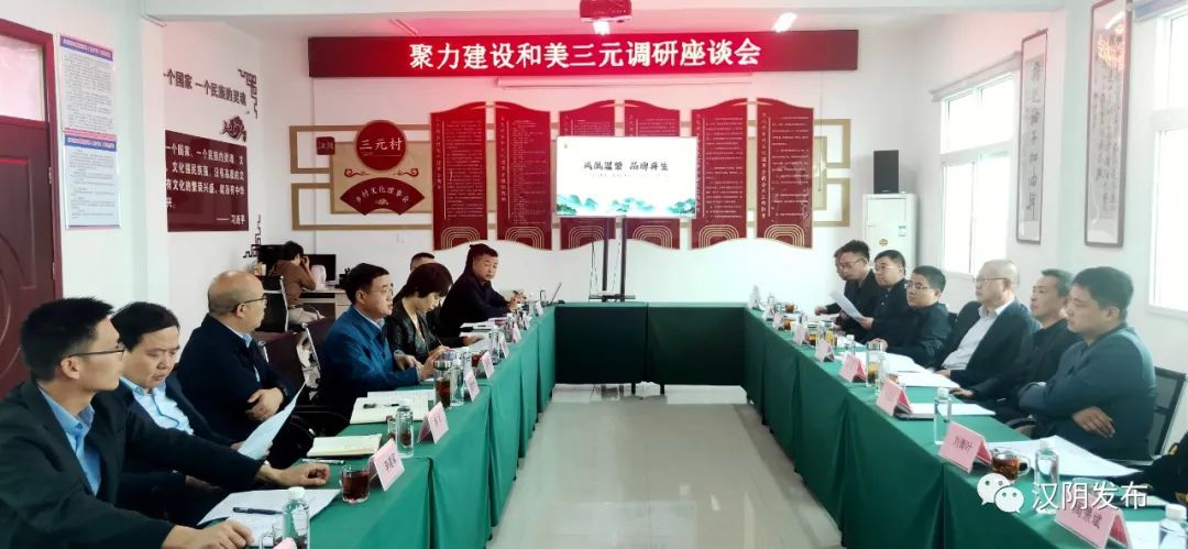 市政协调研组来汉阴开展“助力凤凰茶谷项目建设”调研工作