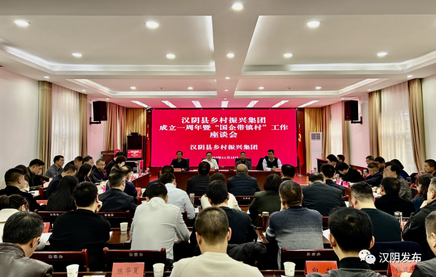 汉阴县召开乡村振兴集团成立一周年 暨“国企带镇村”工作座谈会