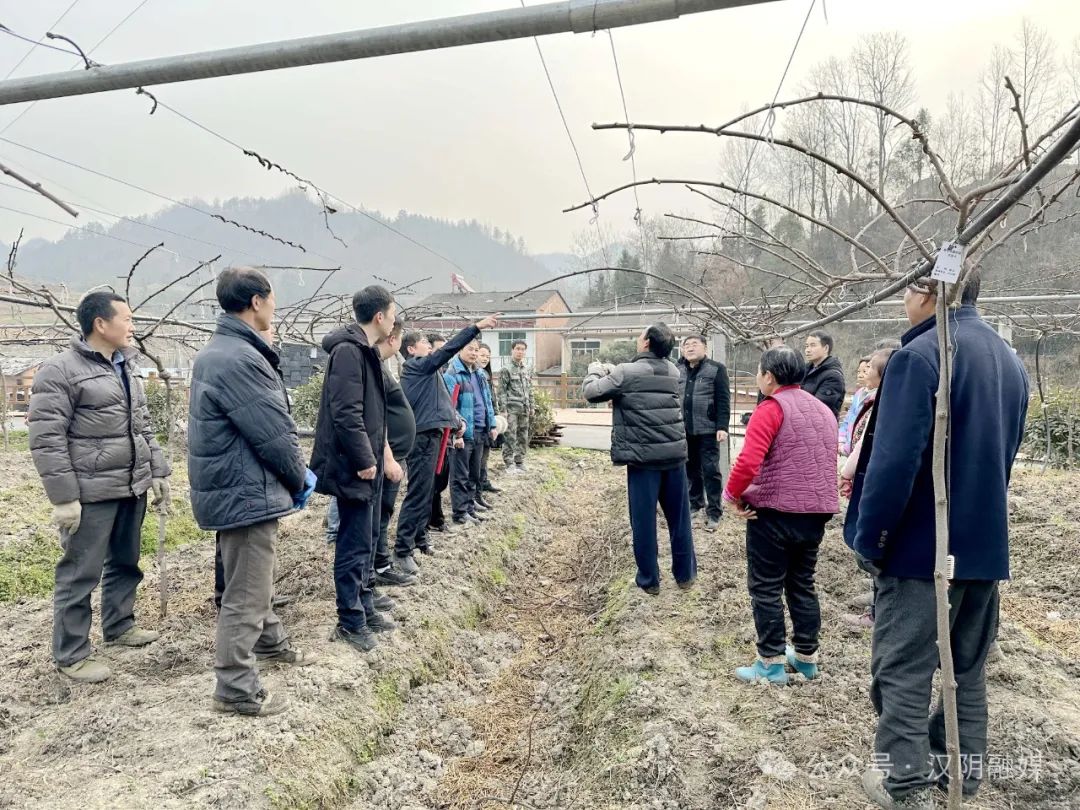 汉阴建起“田间课堂” 助力乡村振兴