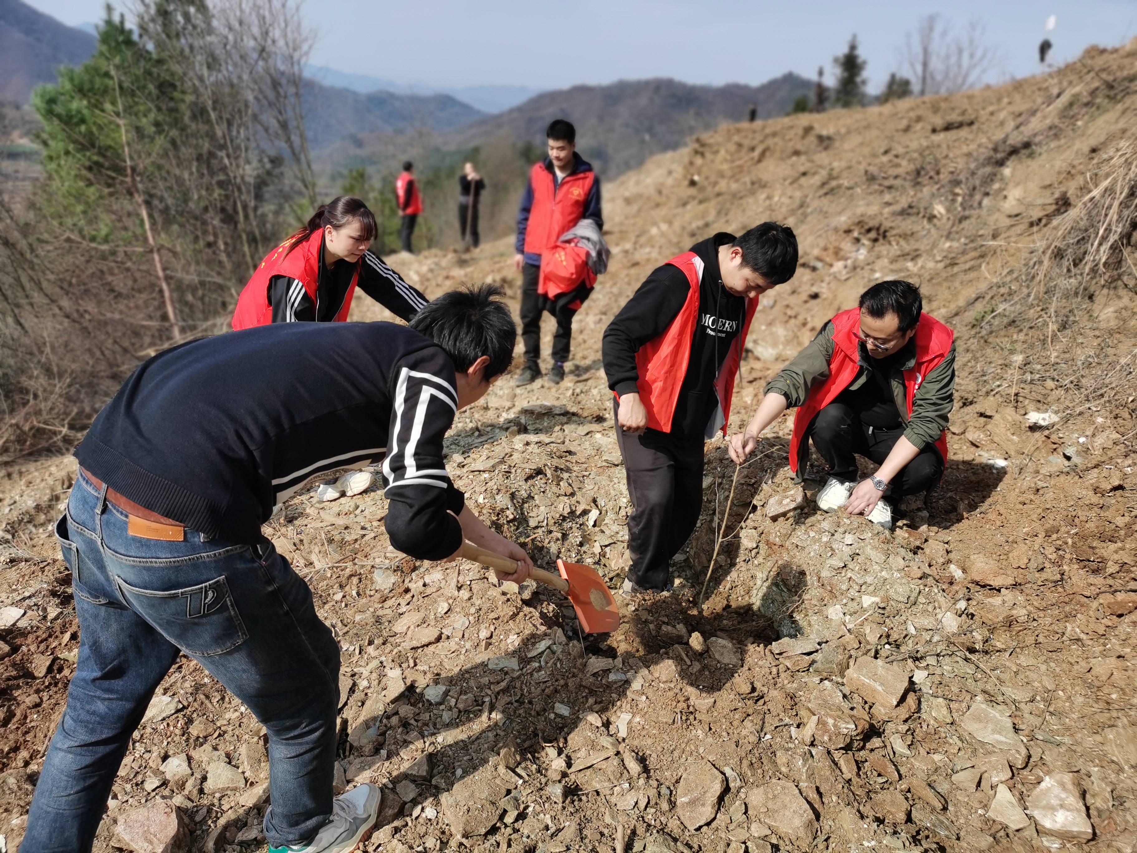 平梁镇社区矫正对象“变身”植树造林先锋队