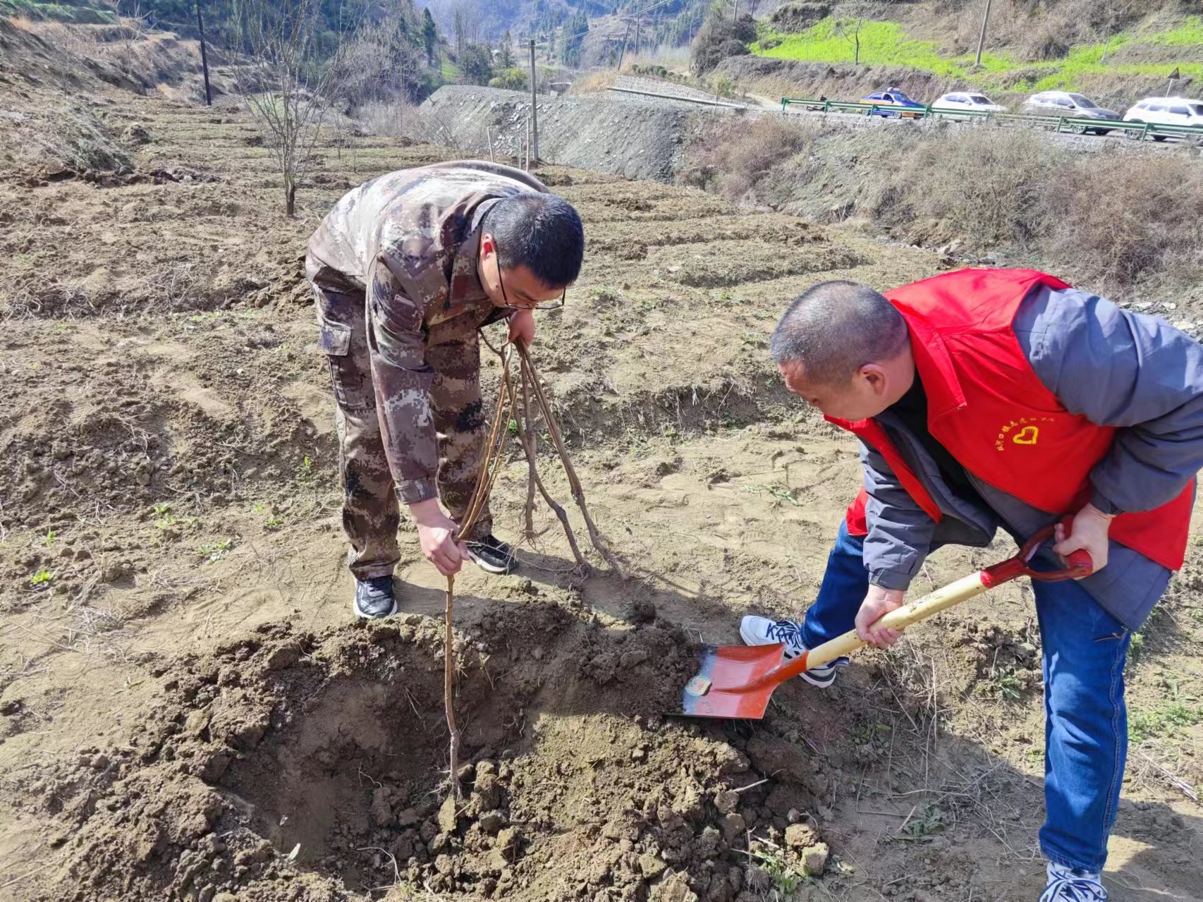 双河口镇：植树造林添新绿 基干民兵显风采