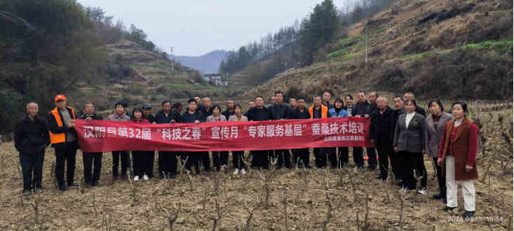 蚕桑产业织就乡村振兴致富路