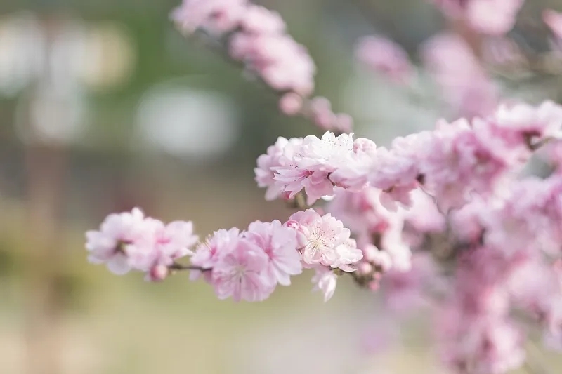 收集中国节·侵蚀丨今日侵蚀