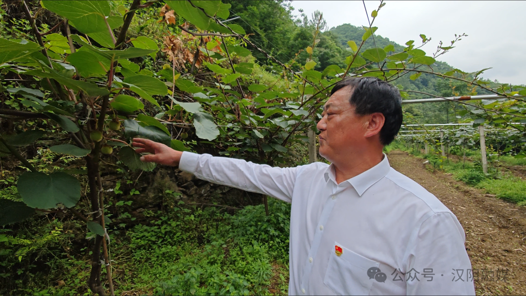 汉阴：产业园里话发展 建言献策助振兴