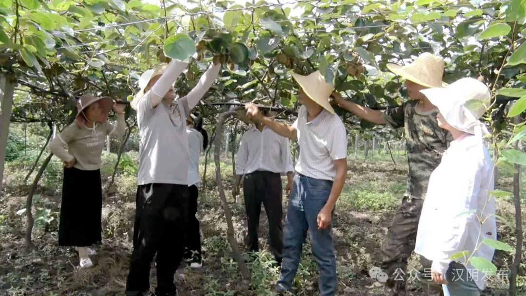 工商银行马鞍山含山支行持续提升单位结算账户 防控能力