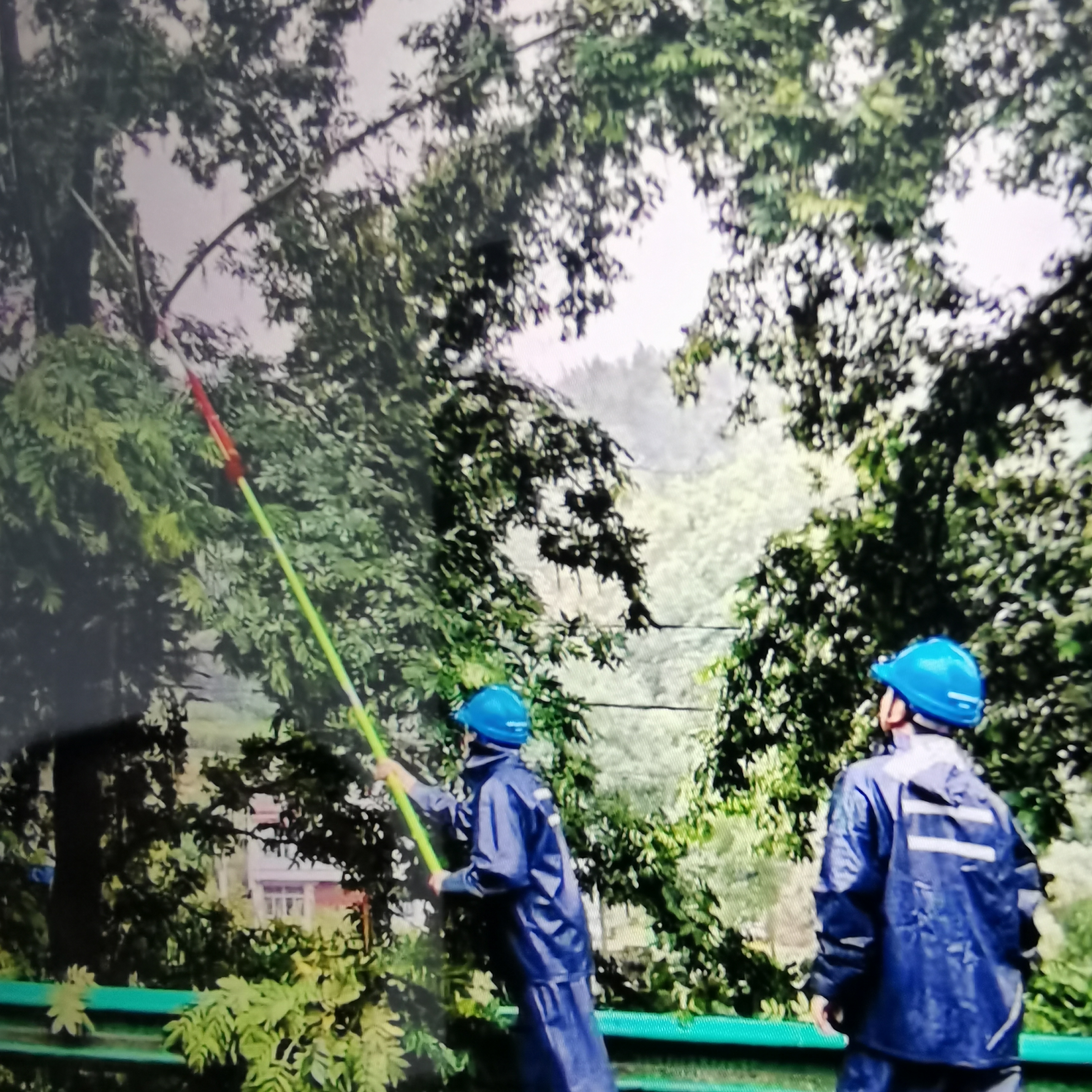 国网汉阴县供电公司：电力“侦察兵”独闯瘦猪岭