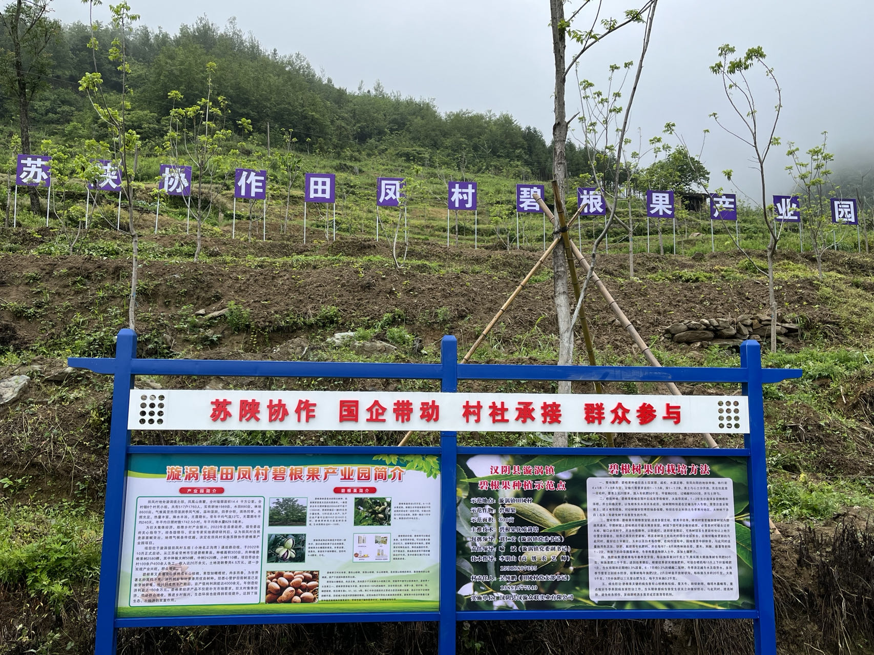 汉阴县再获全省苏陕协作考核“好”等次