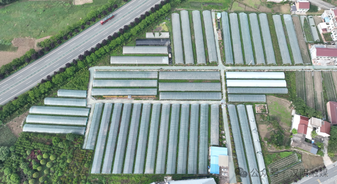 中国附加限制性条件批准邦吉收购蔚特股权案