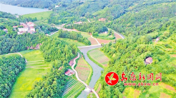 陕西农村网 汉阴县观音河镇：一果一业一路歌