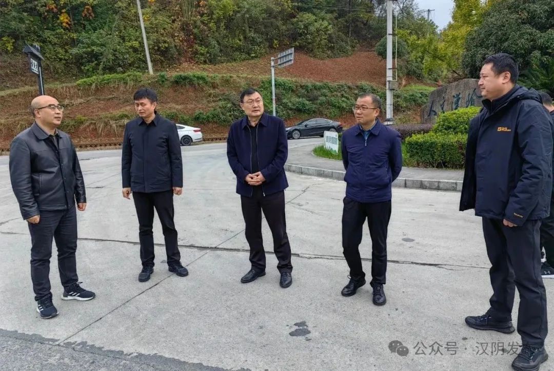 汉阴：县委常委、纪委书记、监委主任唐如刚到城关镇及教体系统调研督导集中整治工作