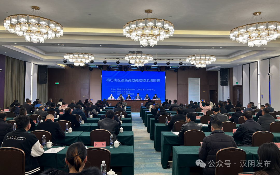 秦巴山区油茶高效栽培技术培训班在汉阴开班