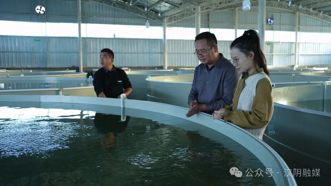 兴业银行合肥分行成功发行 全国首单建筑类企业无增信公募资产支持票据