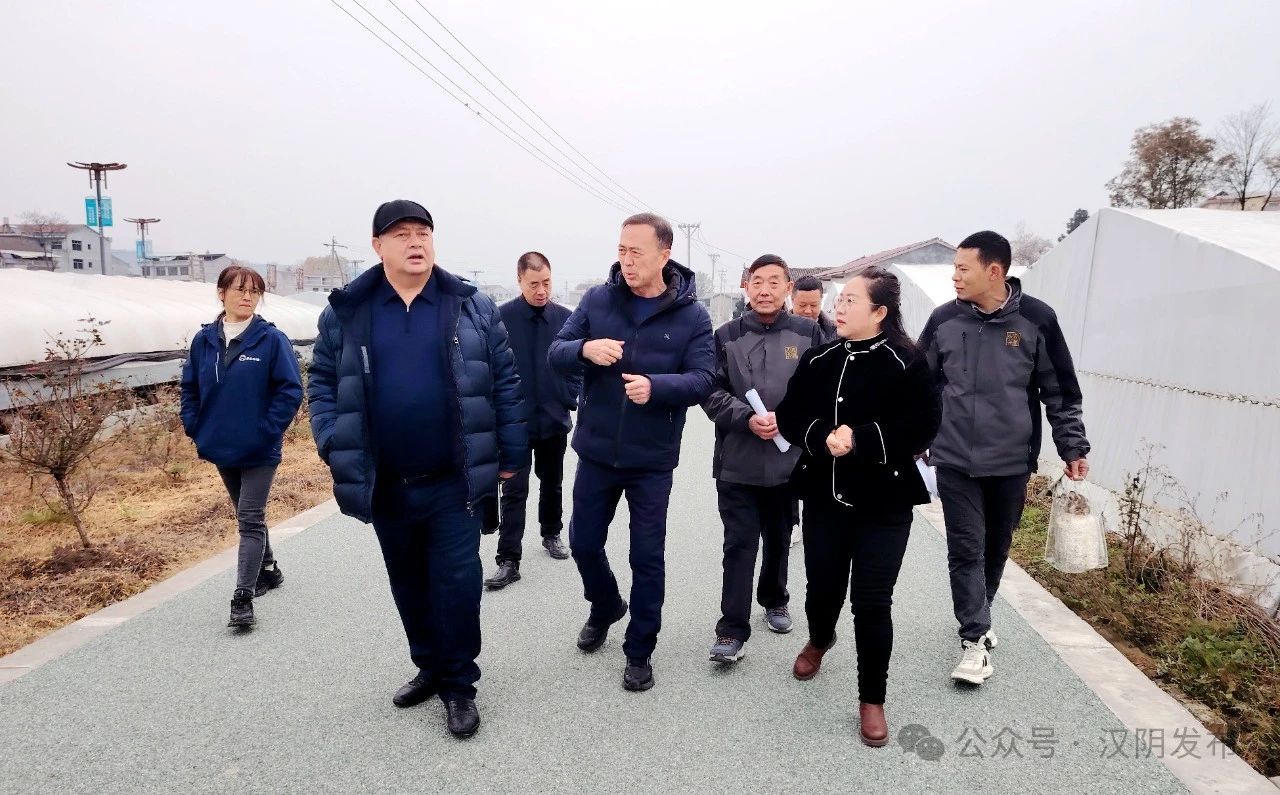 汉阴：塔吉克斯坦客商来汉阴县考察蚕桑副产品开发利用情况