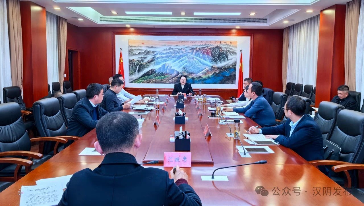 汉阴：县委书记刘飞霞主持召开2024年第17次县委常委会会议