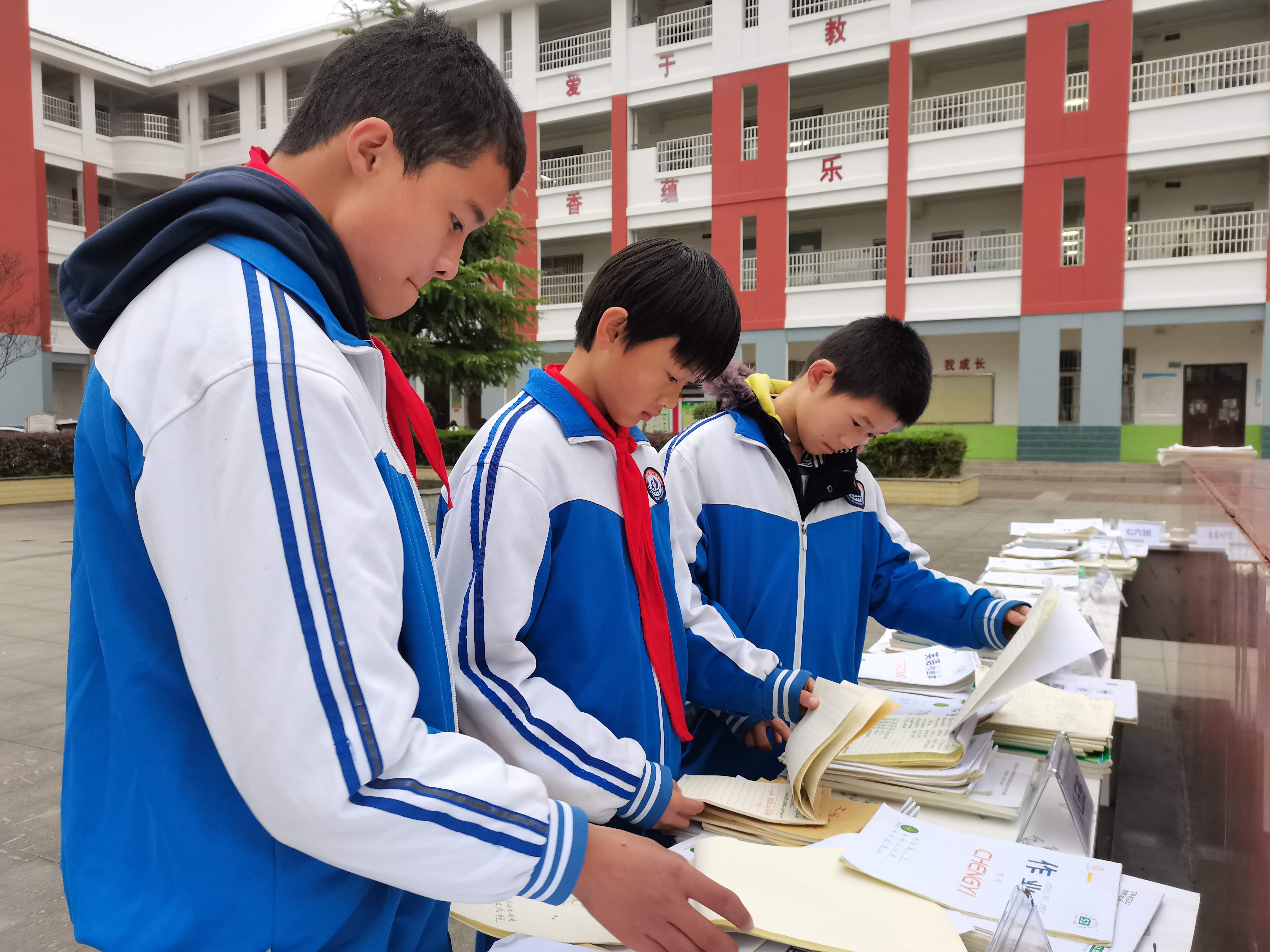 蒲溪初中：优秀作业展风采 榜样引领共前行