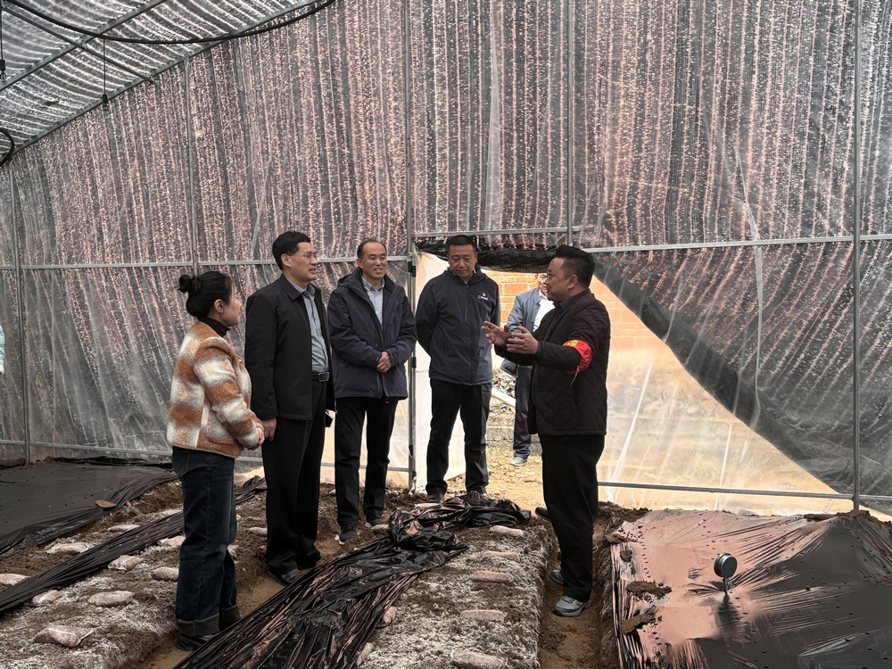  陕煤建设集团到定点帮扶的汉阴县汉阳镇天池村调研乡村振兴工作