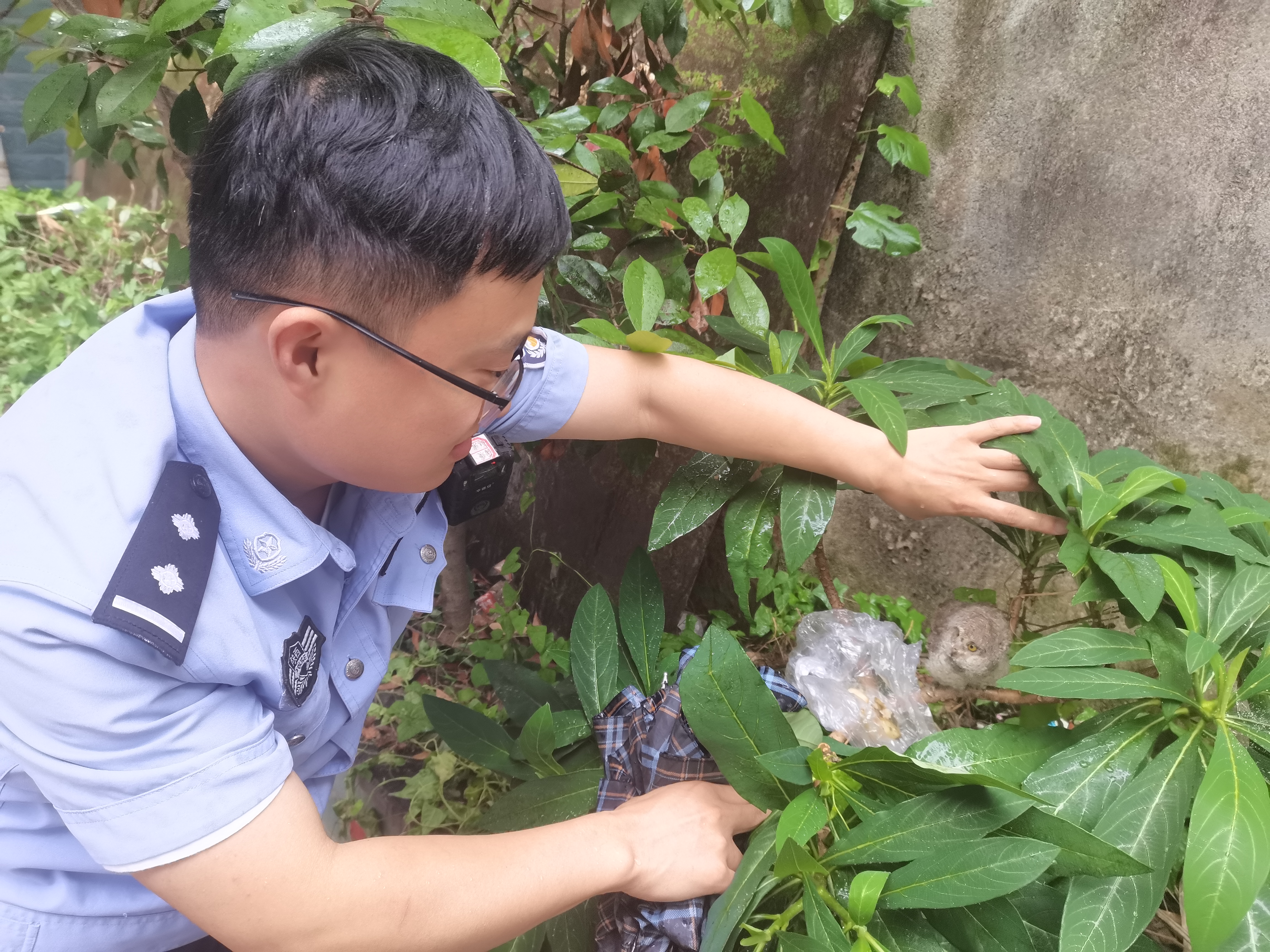蒲溪派出所：生态警务护航辖区绿水青山和谐之美