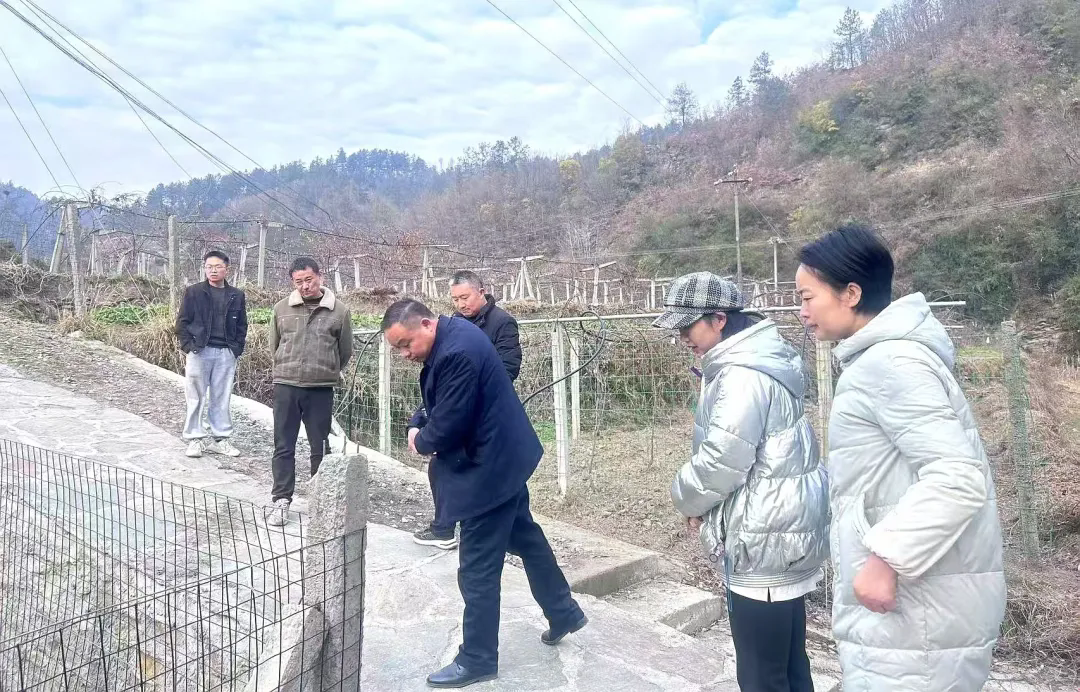 当心！肠子也会“中风”！死亡率高达60%