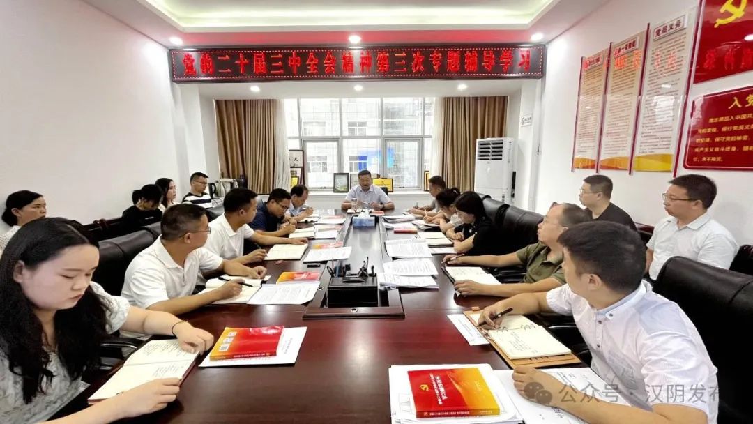 党建护航促发展 实干笃行当先锋——汉阴县委组织部2024年机关党建工作综述