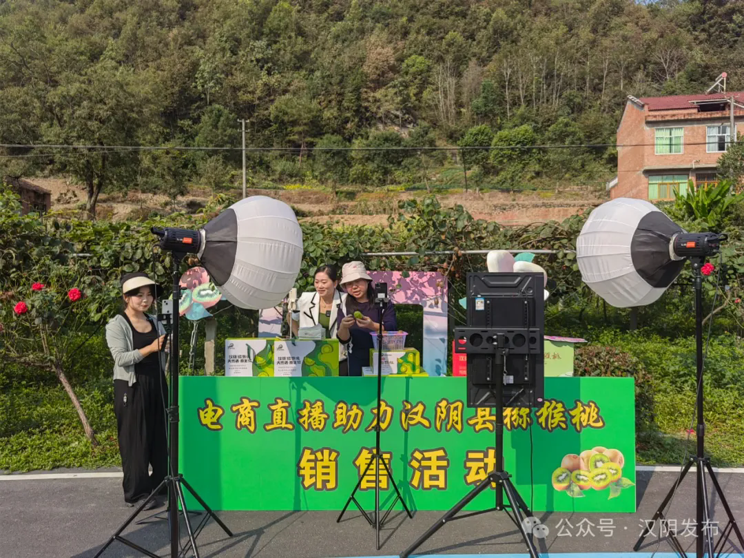 汉阴县网络销售额突破10亿元 电商发展迈上新台阶