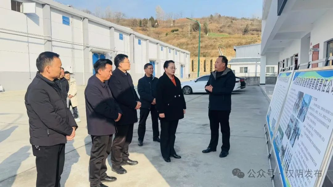汉阴：县委书记刘飞霞调研农业农村工作