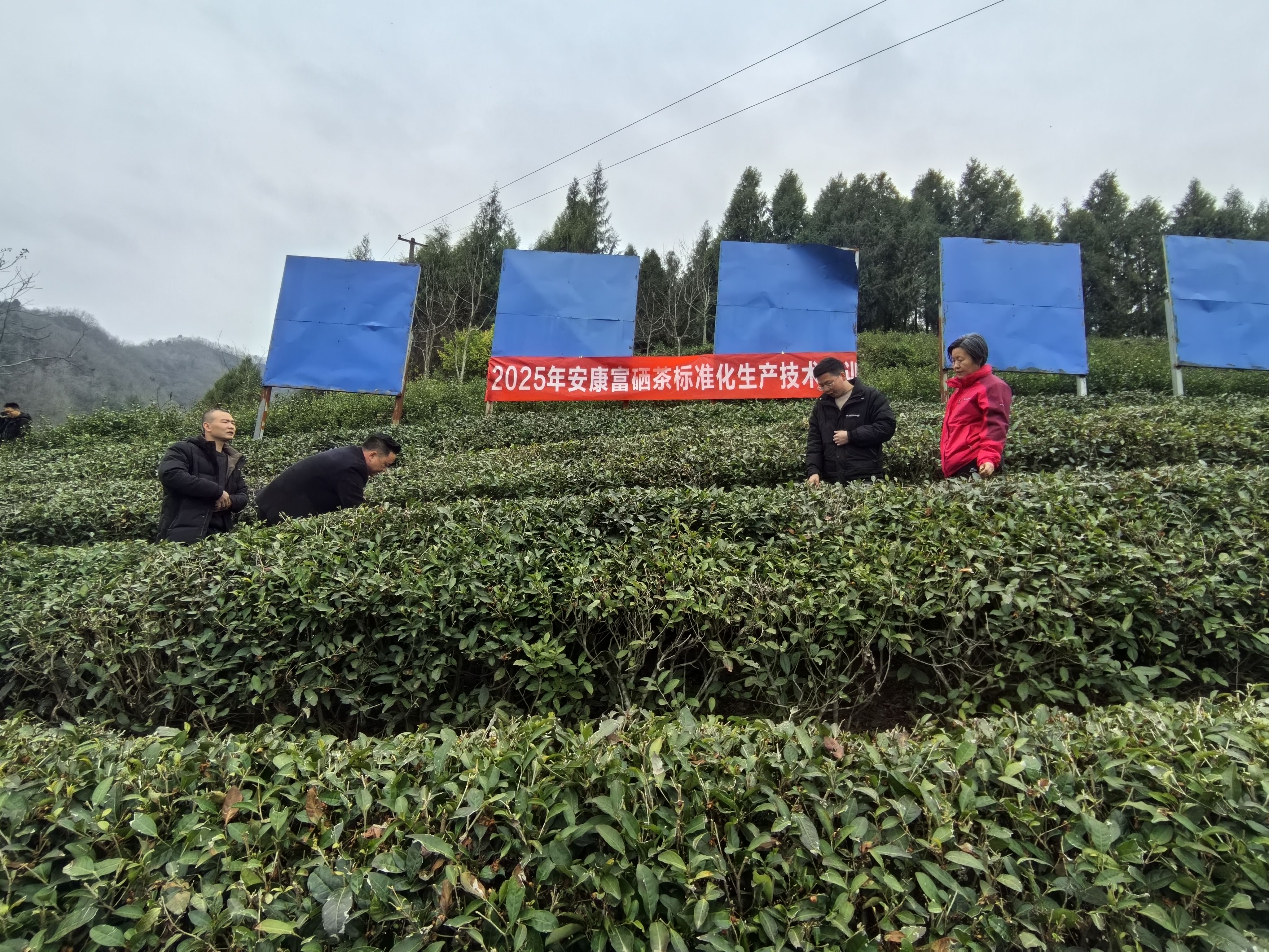 录音曝光！民进党议员私下痛骂赖清德“超级蠢、没道德”