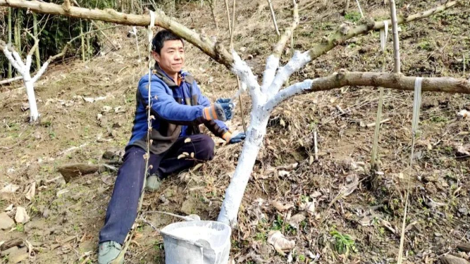 汉阴县铁佛寺镇：抢抓农时备春耕 绘就丰收新画卷