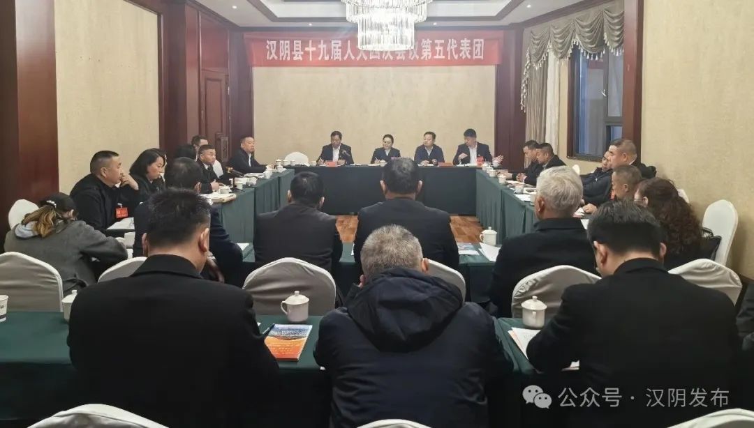 刘飞霞参加各代表团分团讨论审议