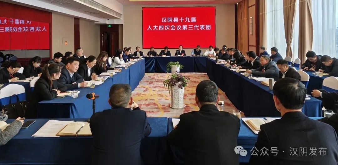 汉阴：县委书记刘飞霞参加第三代表团讨论审议县人大常委会工作报告和法检“两院”工作报告