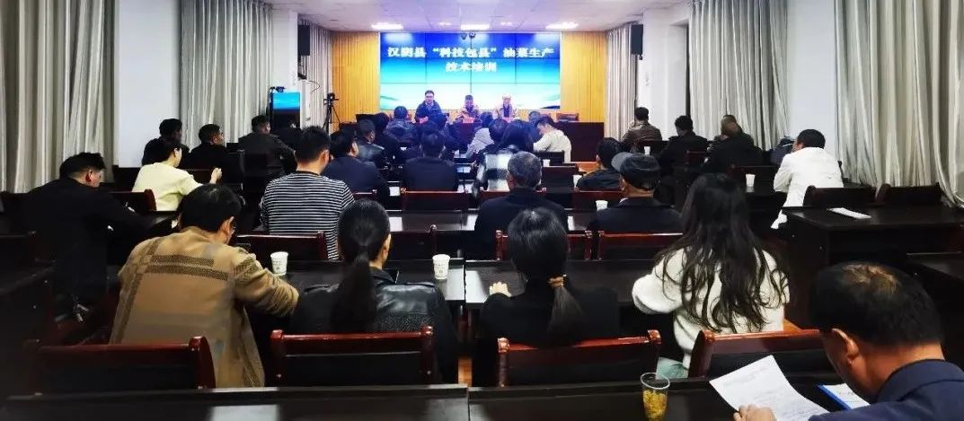 汉阴：油菜迎来 “专家团” 科技赋能开启增收新篇