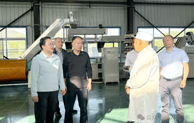 汉阴：县委书记刘飞霞调研“三张报表”工作情况