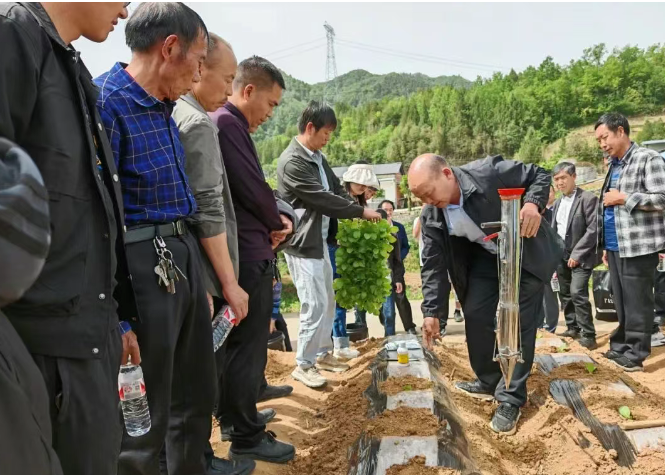 汉阴县汉阳镇：田间教学破解春旱困局 三维课堂助力烟苗移栽