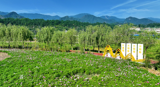 花开成景 汉阴迎宾公园奋起夏日新魅力