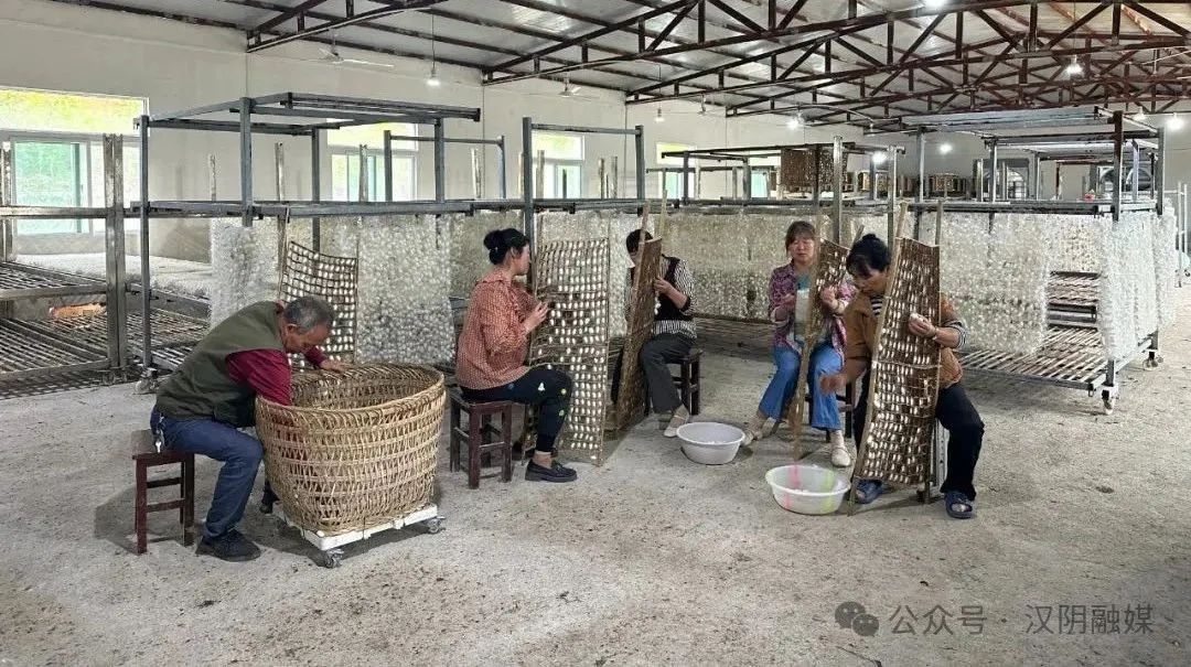 汉阴县铁佛寺镇：春蚕丰收时 蚕农售茧忙
