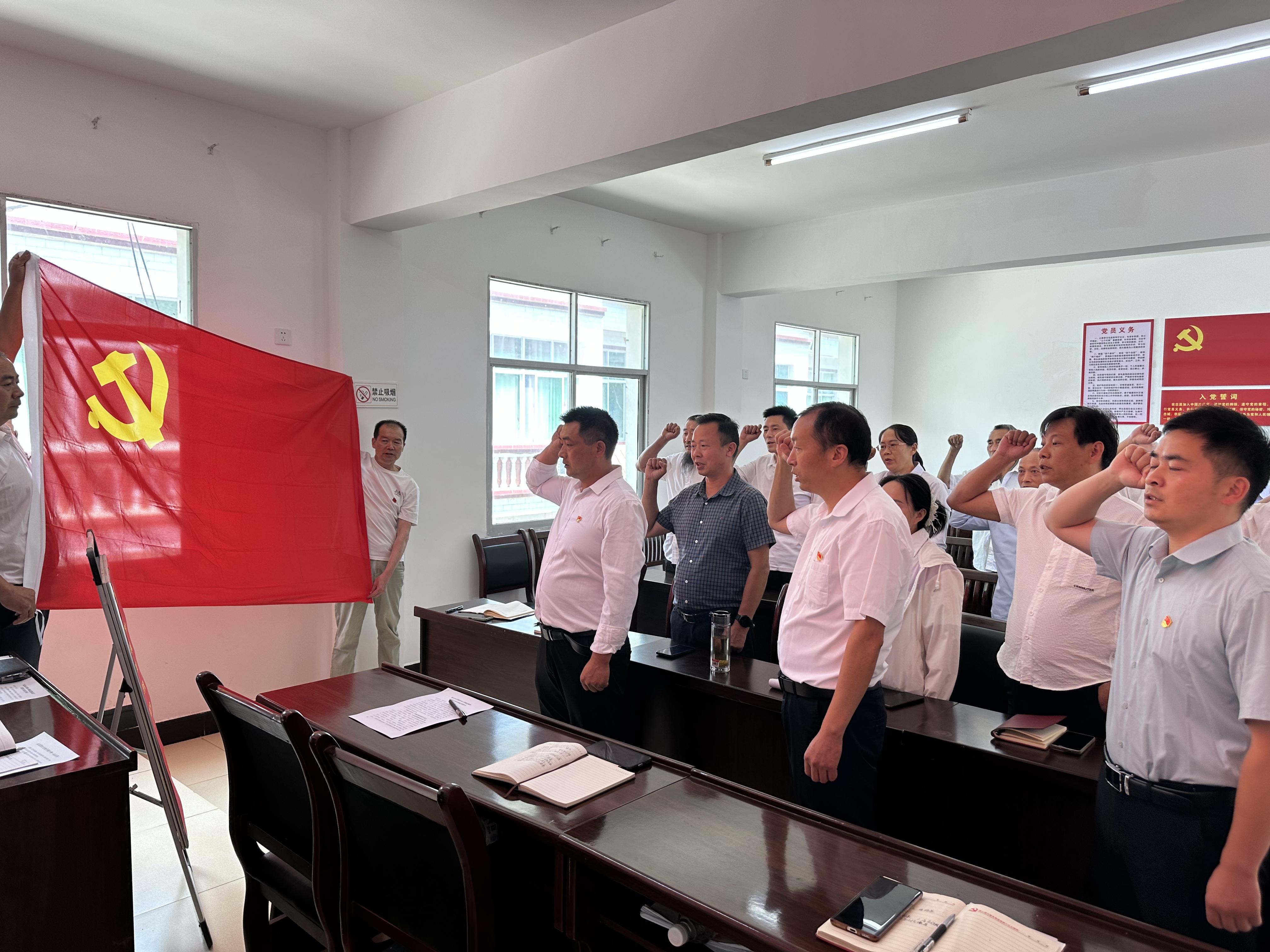 汉阴县退役军人事务局联合双坪村开展主题党日活动