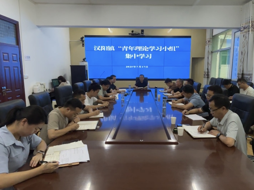 汉阳镇开展“青年理论学习小组”集中学习活动
