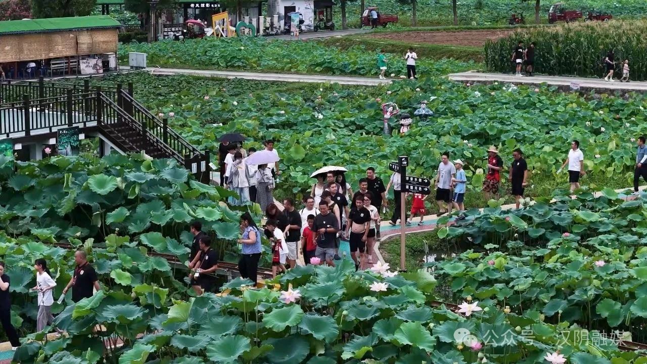 好客汉阴丨村超球场外也精彩！陕西玄甲球迷协会会员沉浸式游汉阴景区