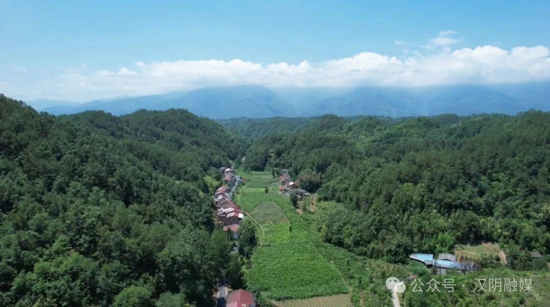 汉阴县涧池镇五坪村：“金茧”生“金链”