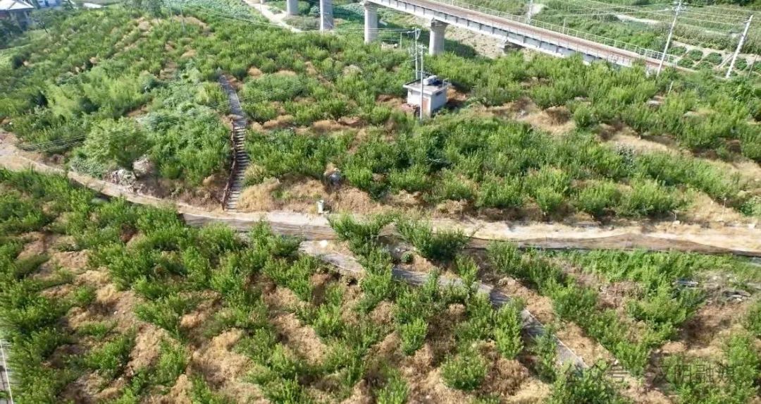 国内首部！泰康参编的这项适老标准正式实施！