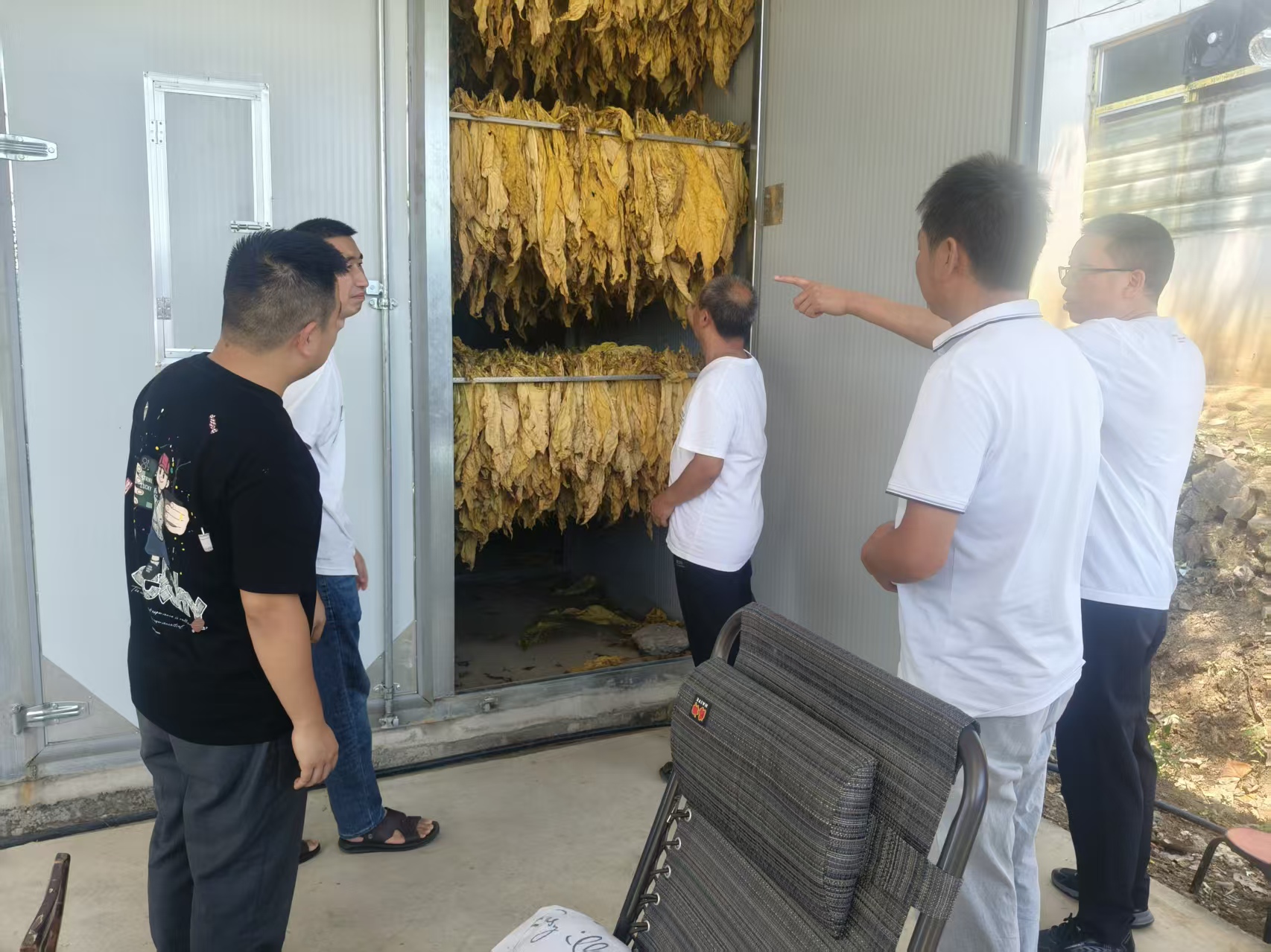 汉阴县汉阳镇：“组团服务”取真经  林下魔芋与烤烟种植点燃产业振兴新引擎