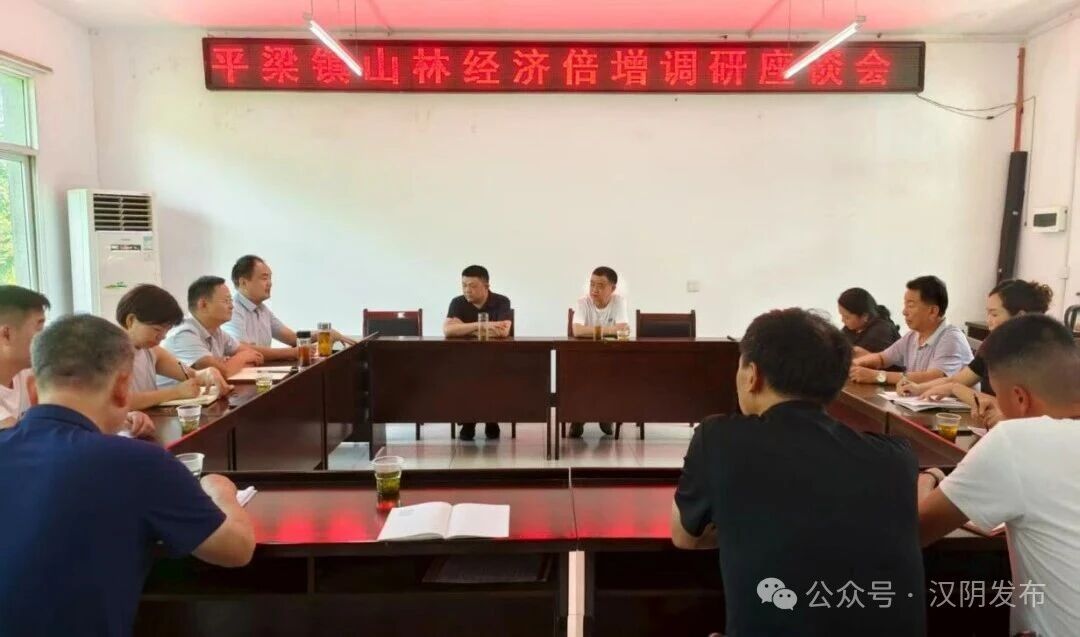 汉阴县平梁镇：“组团服务”激活乡村活力