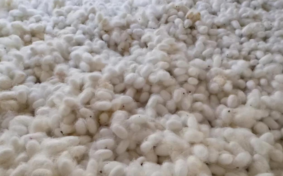 汉阴县蒲溪镇：“组团服务”巧用资源解民忧