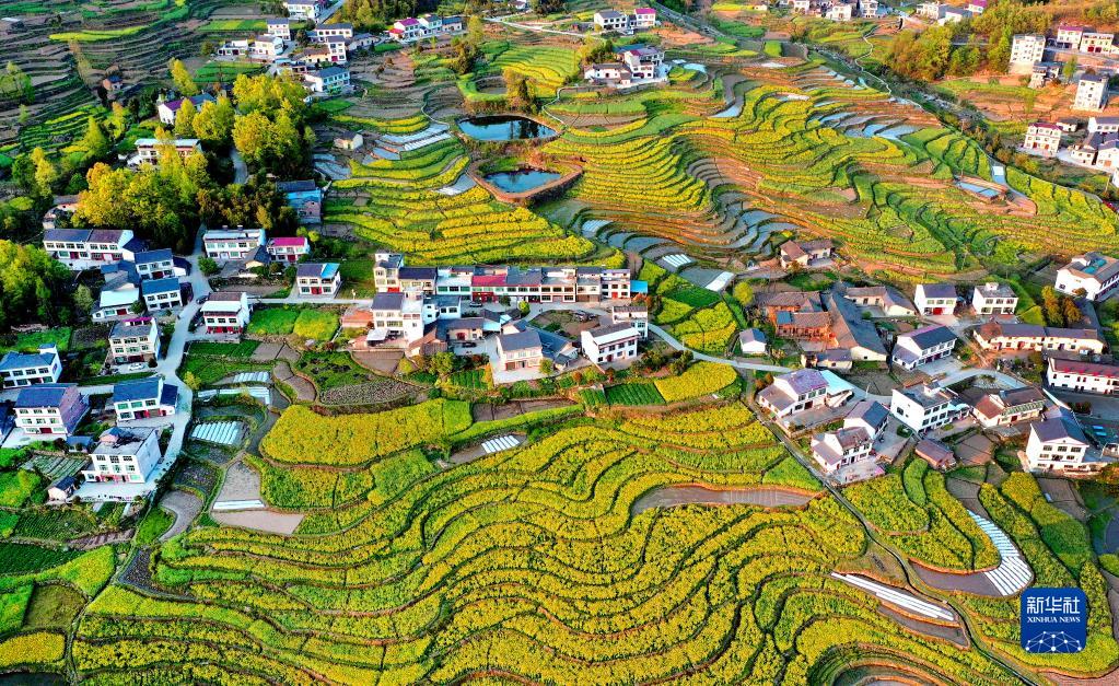 漩涡镇：厚植文明乡风 积蓄发展势能