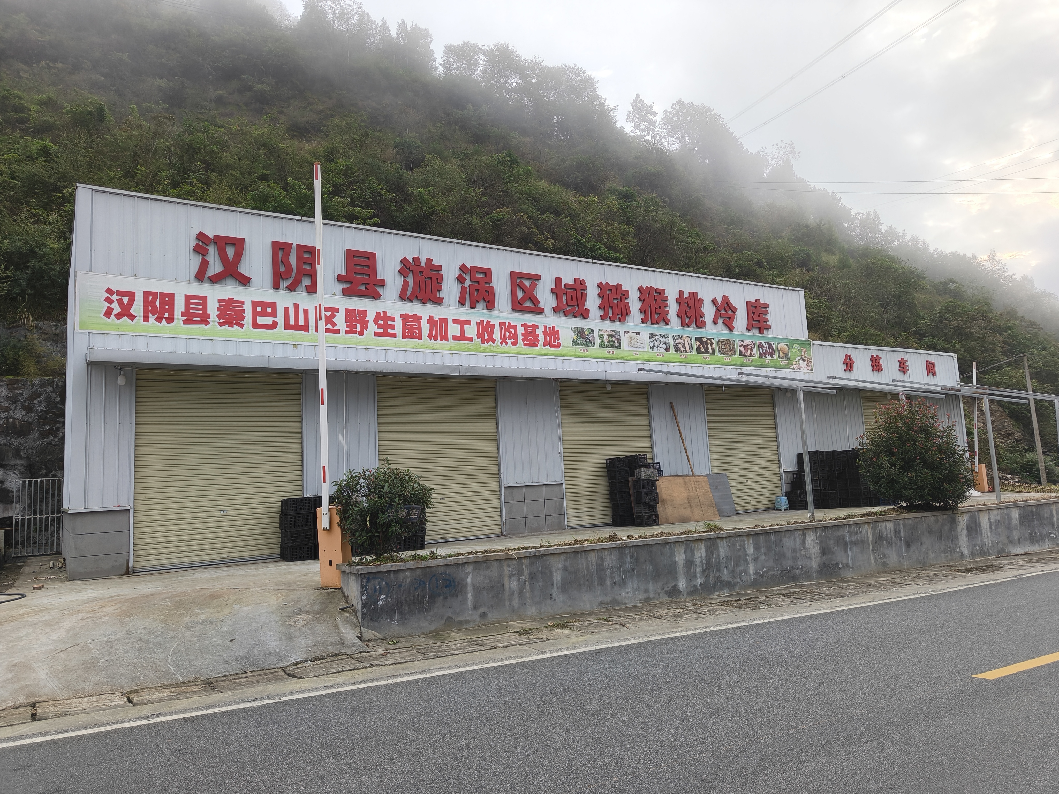 汉阴县漩涡镇三塘村多举措促发展