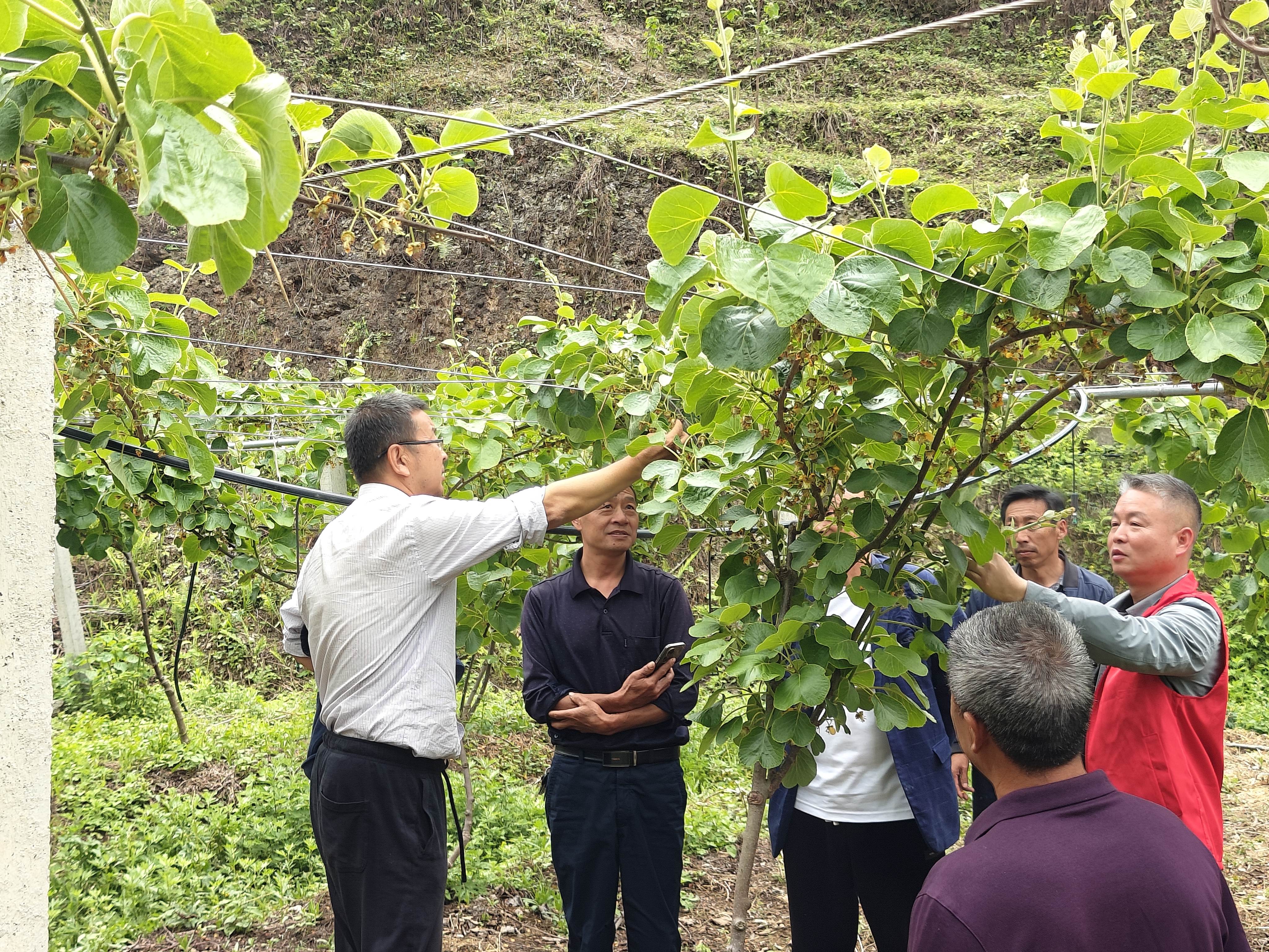 驻村帮扶助振兴 忠诚履职结硕果——汉阴县漩涡镇三塘村向县农业农村局第一书记赠送锦旗