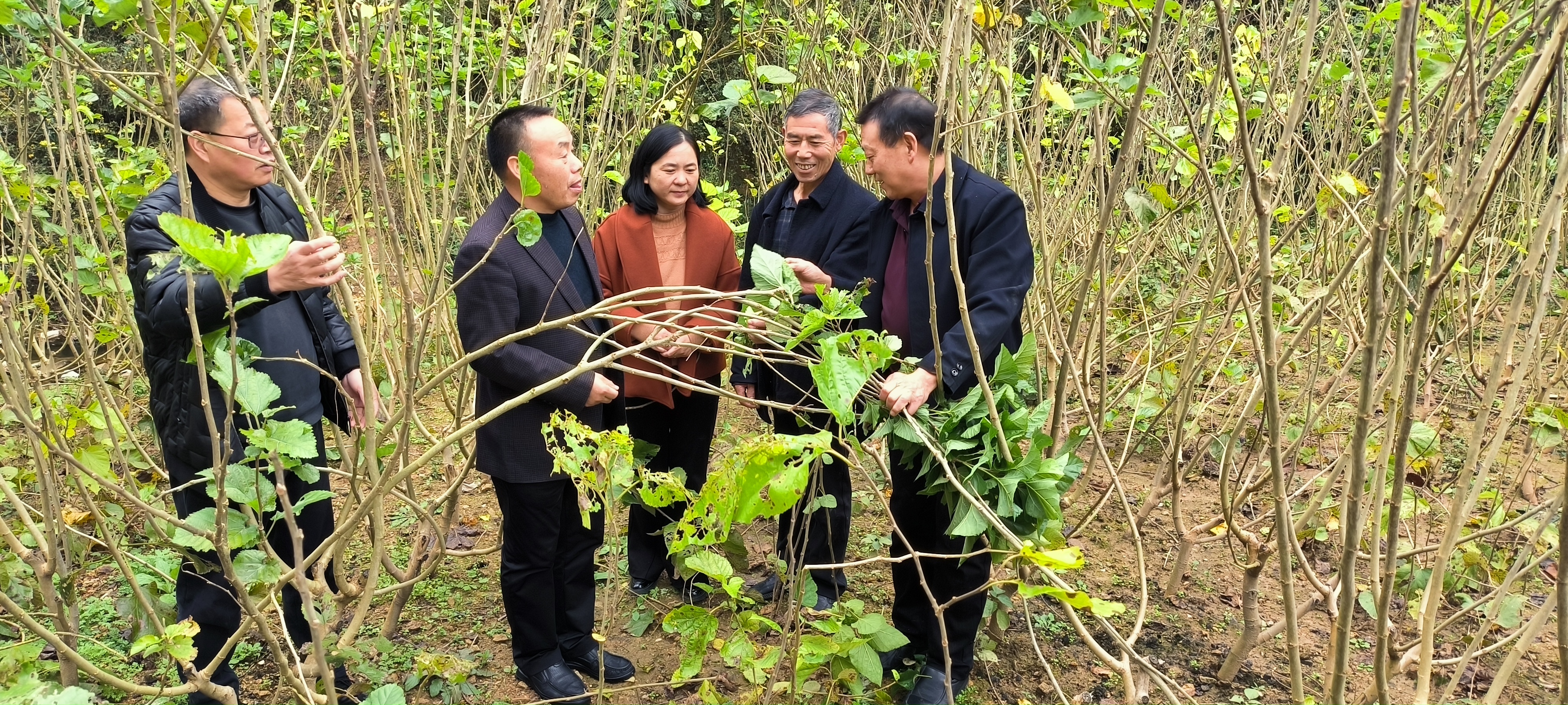 汉阴县再增一家市级专家工作站