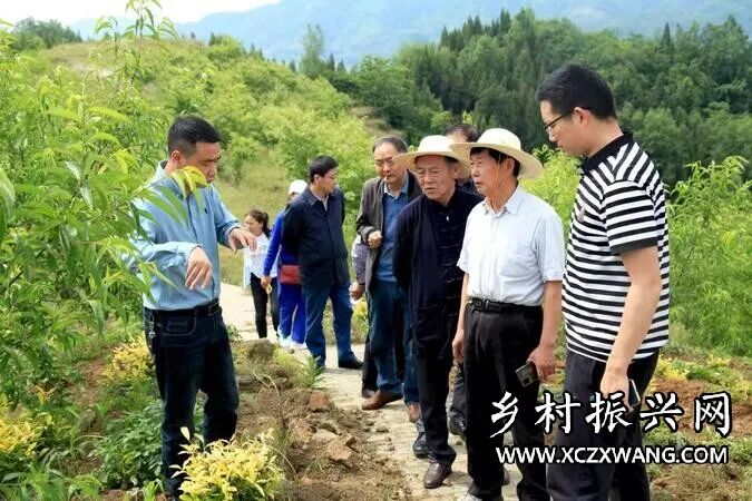 乡村振兴，汉阴开启“新引擎”